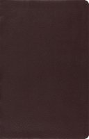 Esv Bibles By Crossway - ESV Large Print Thinline Reference Bible (Brown) - 9781433532788 - V9781433532788