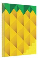 Erin Jang - Pineapple Journal - 9781452142616 - V9781452142616