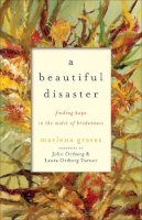 Marlena Graves - A Beautiful Disaster – Finding Hope in the Midst of Brokenness - 9781587433412 - V9781587433412