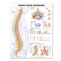 Anatomical Chart Company - 20040518 - 9781587793998 - V9781587793998