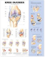 Anatomical Chart Company - 20040629 - 9781587797569 - V9781587797569