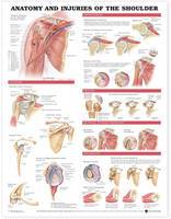 Anatomical Chart Company - 20020926 - 9781587798078 - V9781587798078