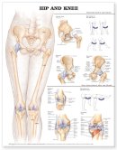 Anatomical Chart Company - 20041221 - 9781587798658 - V9781587798658