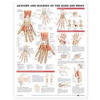 Anatomical Chart Company - 20050609 - 9781587799136 - V9781587799136