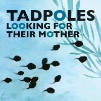 Shanghai Animation Film Studio - Tadpoles Looking for Their Mother - 9781602209725 - V9781602209725