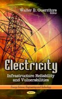Walter Guerritore - Electricity: Infrastructure Reliability & Vulnerabilities - 9781624176005 - V9781624176005