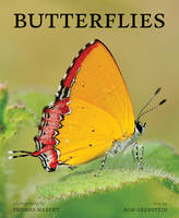 Ronald Orenstein - Butterflies - 9781770855809 - V9781770855809
