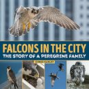 Chris Earley - Falcons in the City: The Story of a Peregrine Family - 9781770858039 - V9781770858039