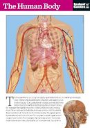 Instant Guides - The Human Body: The Instant Guide - 9781780500133 - V9781780500133