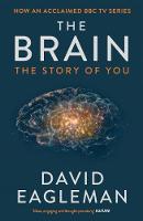 David Eagleman - The Brain - 9781782116615 - 9781782116615