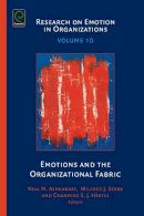 Charmine E. J. Härtel (Ed.) - Emotions and the Organizational Fabric - 9781783509393 - V9781783509393