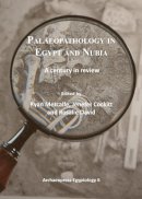 Ryan Metcalfe - Palaeopathology in Egypt and Nubia: A century in review - 9781784910266 - V9781784910266