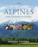 Richard Wilford - Alpines, from Mountain to Garden - 9781842461723 - V9781842461723