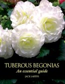 Jack Larter - Tuberous Begonias: An Essential Guide - 9781847972316 - V9781847972316