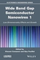 Guy Feuillet - Wide Band Gap Semiconductor Nanowires 1: Low-Dimensionality Effects and Growth - 9781848215979 - V9781848215979