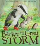 Suzanne Chiew - Badger and the Great Storm - 9781848690479 - V9781848690479