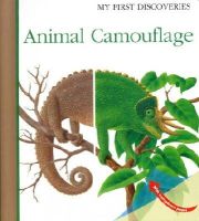 René Mettler - Animal Camouflage (My First Discoveries) - 9781851034260 - V9781851034260