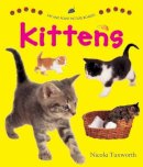 Tuxworth Nicola - Say and Point Picture Boards: Kittens - 9781861473844 - V9781861473844