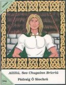Pádraig Ó Siochrú - Aililiu, Seo Chugainn Briciu (Irish Edition) - 9781900693608 - V9781900693608