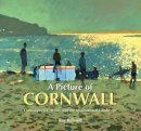 Ray Backwill - A Picture of Cornwall: Contemporary Artists and the Inspirational Landscape - 9781906690236 - V9781906690236