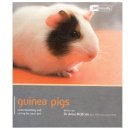 Anne Mcbride - Guinea Pig - Pet Friendly - 9781907337031 - V9781907337031