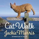 Jackie Morris - Cat Walk - 9781909823273 - V9781909823273