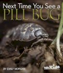 Emily Morgan - Next Time You See a Pill Bug - 9781936959174 - V9781936959174