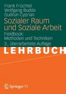 Frank Früchtel - Sozialer Raum Und Soziale Arbeit - 9783531184333 - V9783531184333