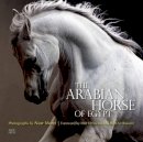 Cynthia Culbertson - The Arabian Horse of Egypt - 9789774166655 - V9789774166655