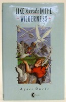Agnes Owens - Like Birds in the Wilderness - 9780947795511 - KTJ0050263