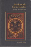 Cothraí Gógan - Machnaimh Shoiscéalacha, Bliain A - Naomh Matha -  - KTK0000222